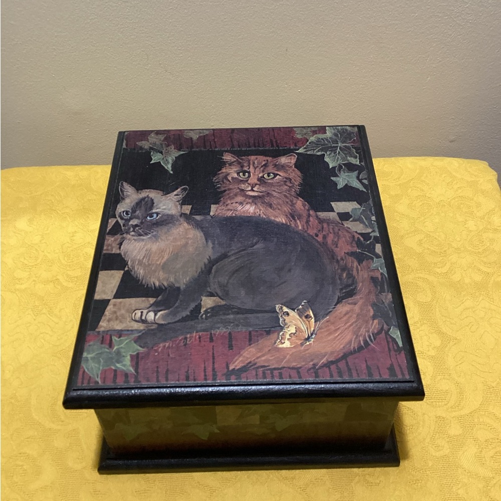 Cat Box with Lid ( 8”x9”). Really nice. Never Used